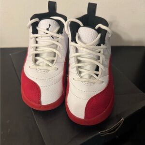 Jordan’s 12 Retro